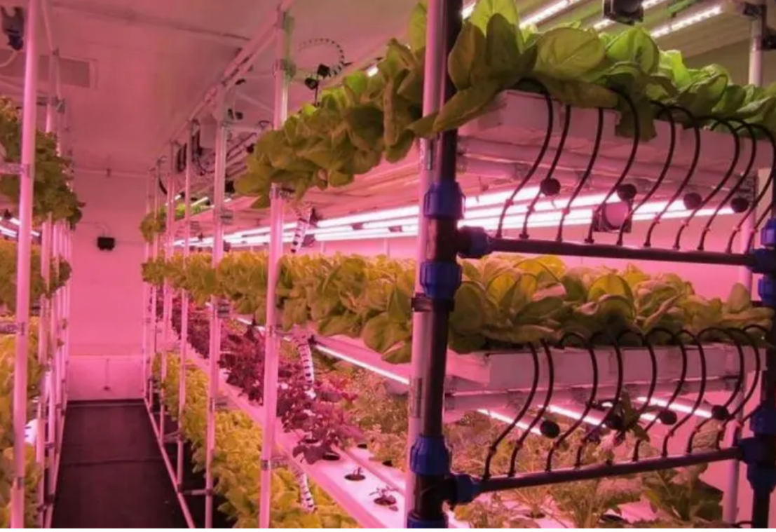 Toepassing van LED plantbuis